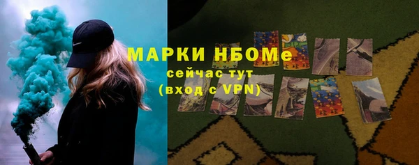 гашик Михайлов