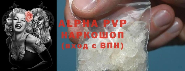 ПСИЛОЦИБИНОВЫЕ ГРИБЫ Тайга