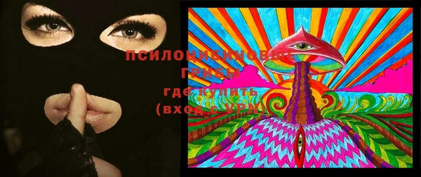 гашик Михайлов
