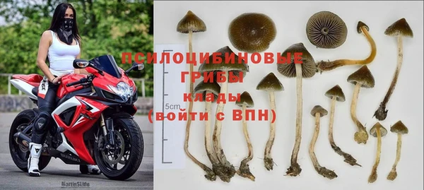 гашик Михайлов