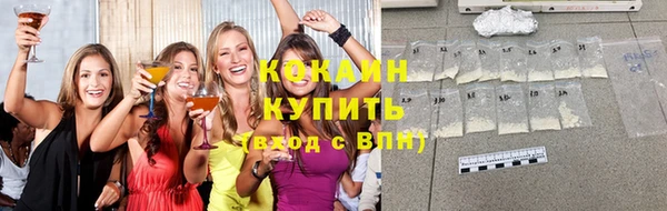 гашик Михайлов
