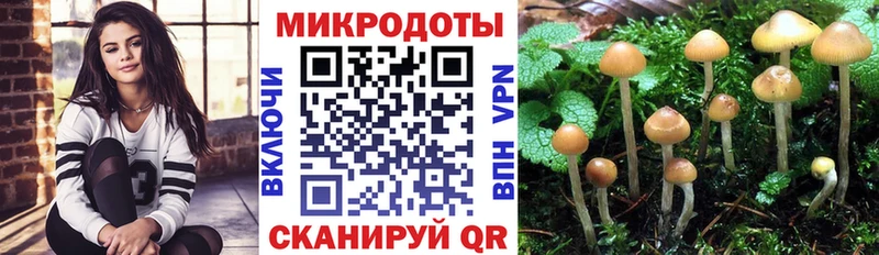 ОМГ ОМГ зеркало Агидель Псилоцибиновые грибы MAGIC MUSHROOMS
